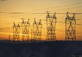 formulation